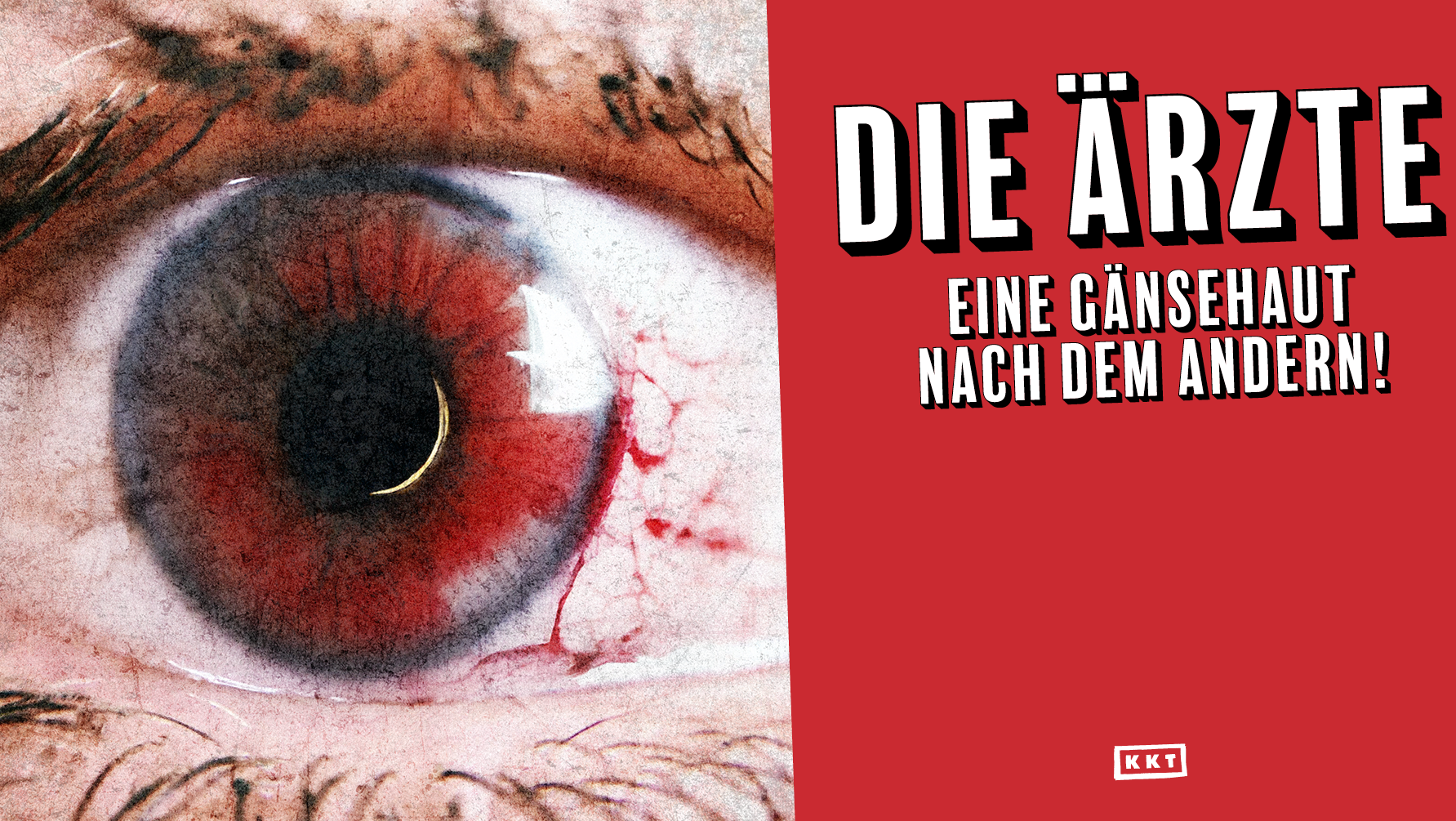 Eine Tourgrafik zeigt ein geöffnetes und leicht gerötetes Auge und kündigt Die Ärzte und ihre Tour "Eine Gänsehaut nach dem andern!" an.