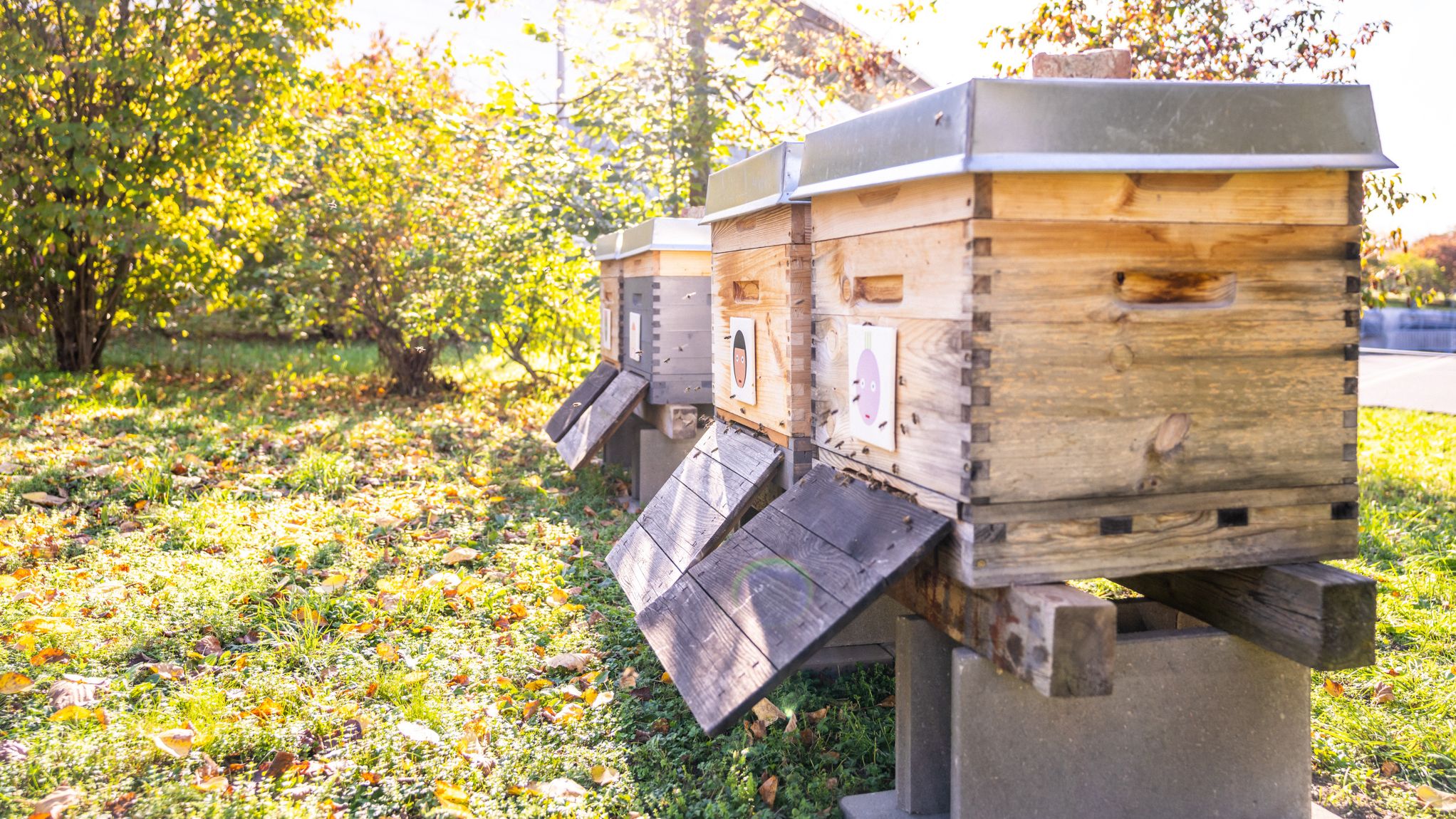 Bienenkästen im Ladehof der QUARTERBACK Immobilien ARENA.